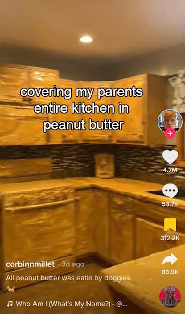 deranged tiktok screenshots - covering my parents bathroom in peanut butter - covering my parents entire kitchen in peanut butter corbinnmillet. 3d ago All peanut butter was eatin by doggies Who Am I What's My Name? @... 4.7M