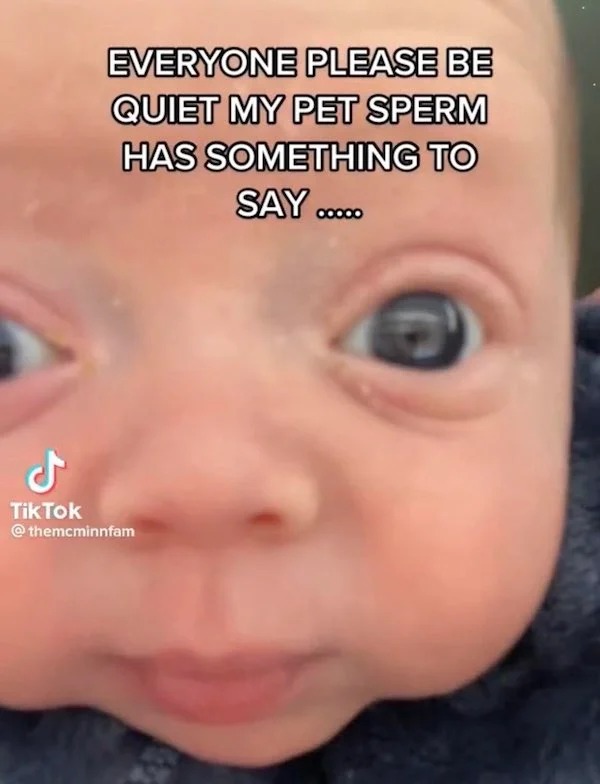 deranged tiktok screenshots - Shitposting - Everyone Please Be Quiet My Pet Sperm Has Something To Say 00000 J Tik Tok