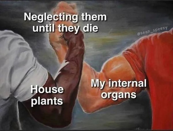 Depressing memes - it's gorgug keep going - Neglecting them until they die House plants My internal organs