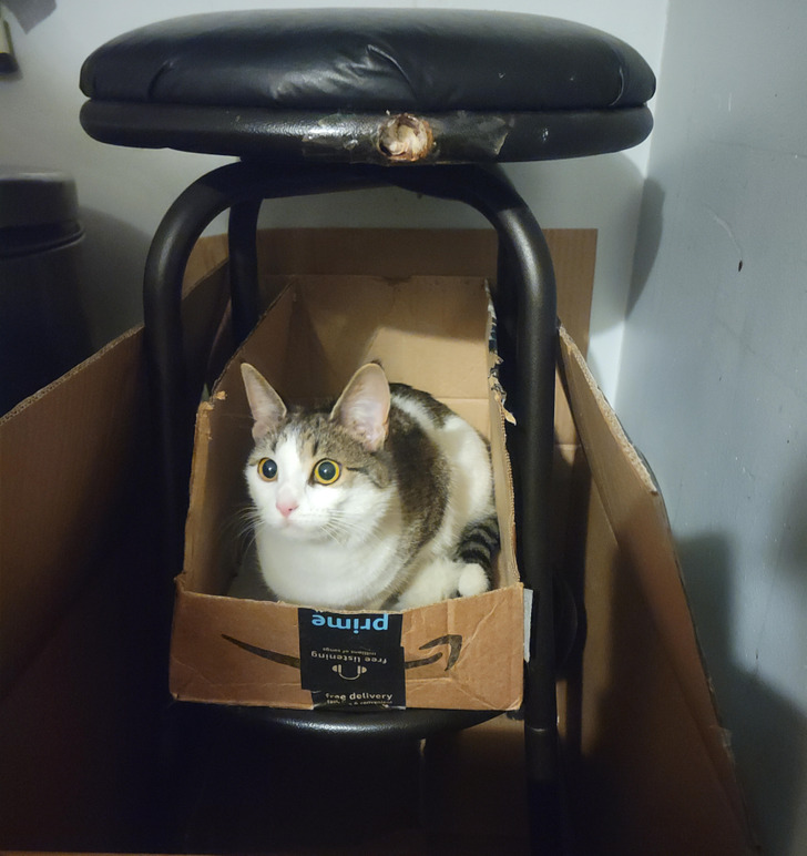 20 Creative Solutions For Everyday Problems.