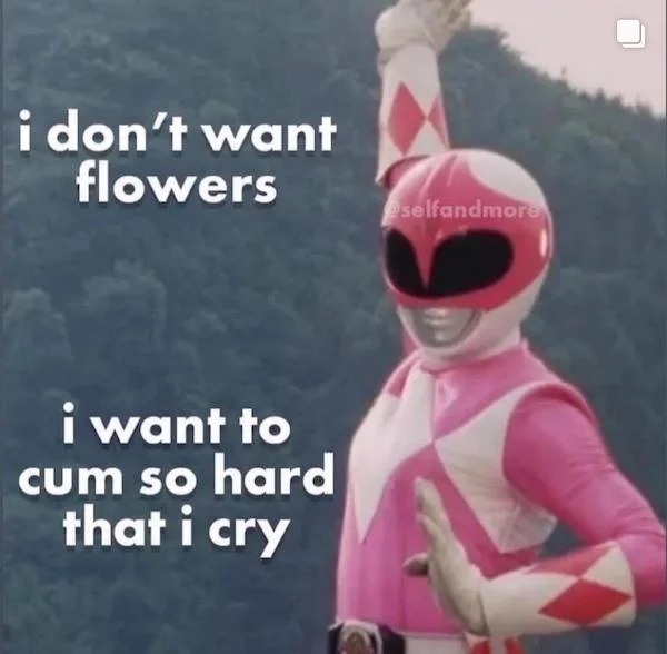 spicy sex memes - power rangers mighty morphin pink ranger morphin legacy - i don't want flowers eselfandmore i want to cum so hard that i cry