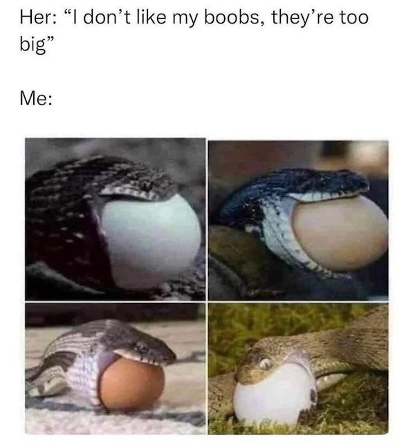 spicy sex memes - fauna - Her "I don't my boobs, they're too big" Me