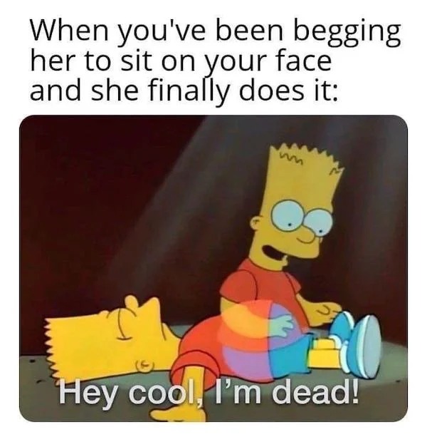 spicy sex memes - cartoon - When you've been begging her to sit on your face and she finally does it Hey cool, I'm dead!