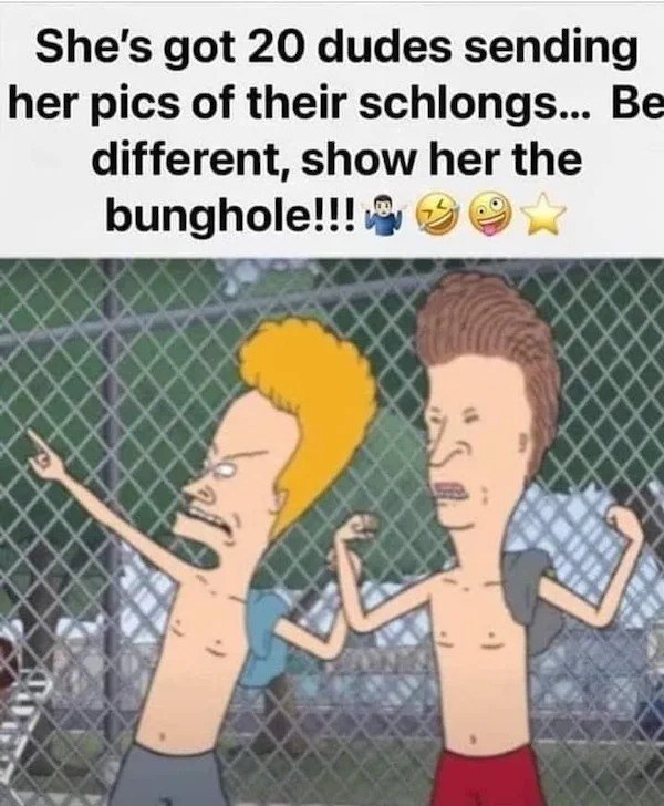 spicy sex memes - Beavis and Butt-Head - She's got 20 dudes sending her pics of their schlongs... Be different, show her the bunghole!!!