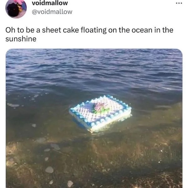 funny tweets and memes - sheet cake floating in the ocean - voidmallow Oh to be a sheet cake floating on the ocean in the sunshine