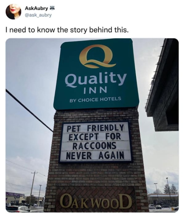 funny tweets and memes - street signs - Ask Aubry I need to know the story behind this. 2 Quality Inn By Choice Hotels Pet Friendly Except For Raccoons Never Again Oakwood