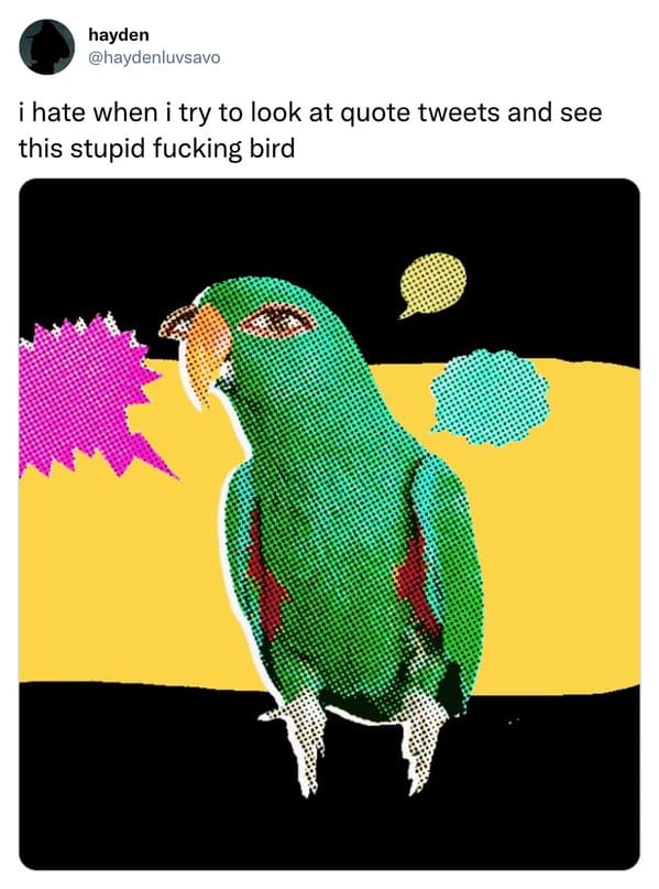 funny tweets and memes - beak - hayden i hate when i try to look at quote tweets and see this stupid fucking bird