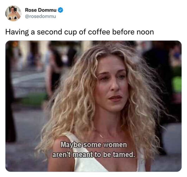funny tweets and memes - blond - Rose Dommu Having a second cup of coffee before noon Maybe some women aren't meant to be tamed.