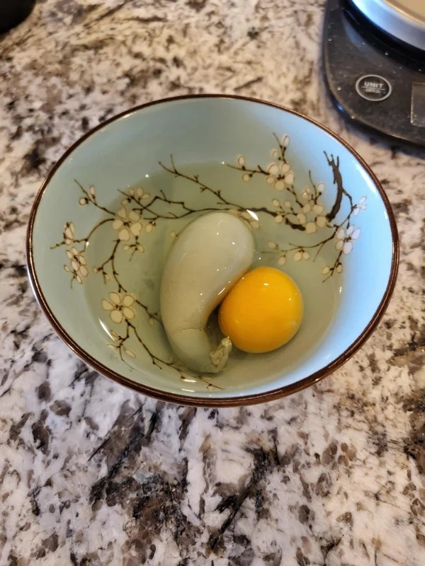 “I was excited to have my first farm-fresh eggs from the hens we adopted from our neighbor, only to crack open this monstrosity.”