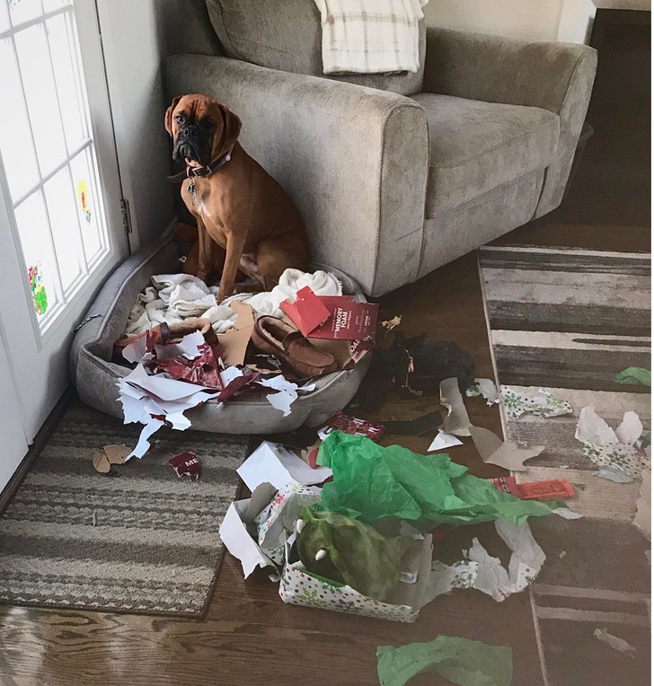 “Merry Christmas, Mom... I know it’s a couple of weeks early, but I thought I’d help you open some gifts!”