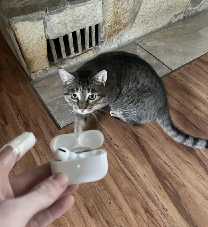 “My cat played with my AirPods and lost one in the heating vent.”