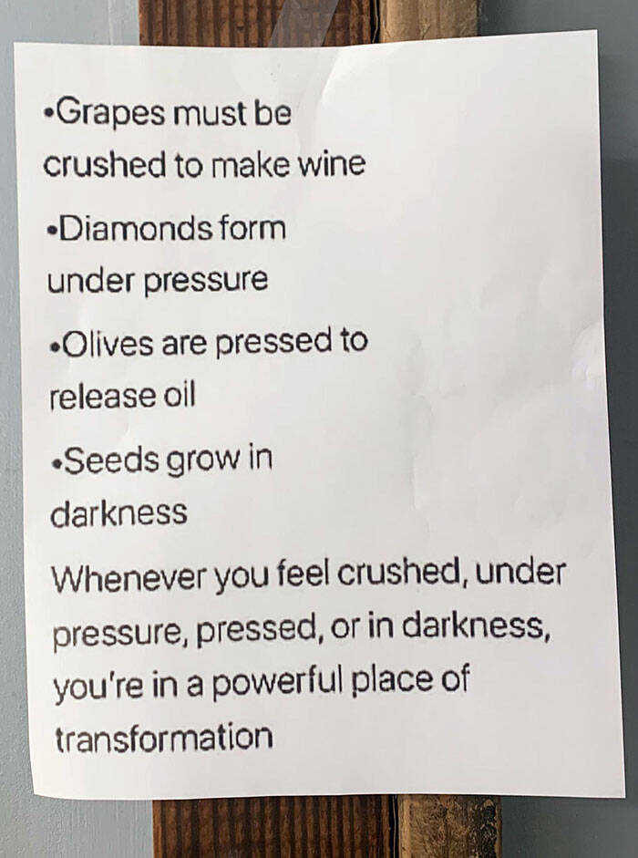 terrible bosses - material - Grapes must be crushed to make wine Diamonds form under pressure .Olives are pressed to release oil Seeds grow in darkness Whenever you feel crushed, under pressure, pressed, or in darkness, you're in a powerful place of trans