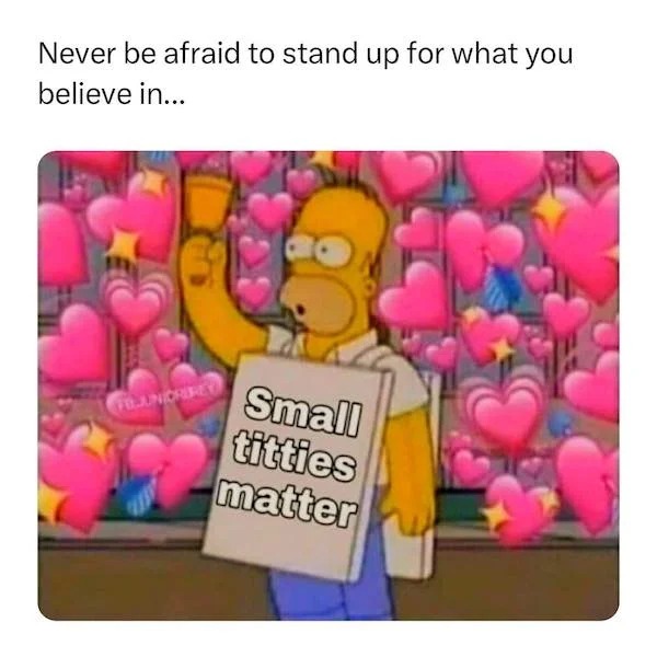 spicy sex meems - balloon - Never be afraid to stand up for what you believe in... Flandrerey Small titties matter