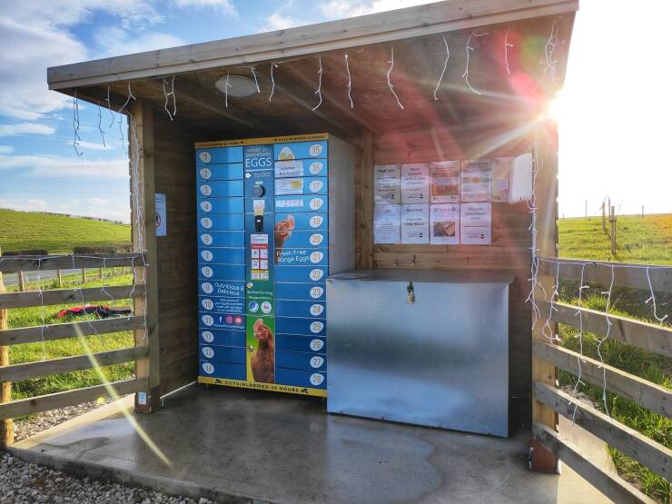 "A local farm sells eggs at a 24/7 vending machine on their driveway"