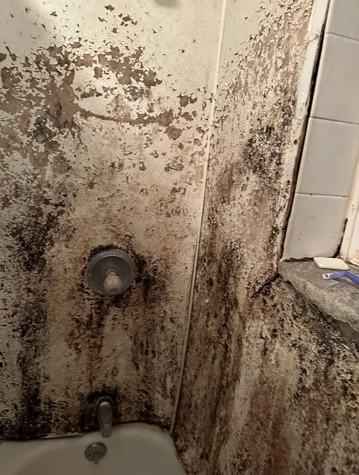 Shower Mold