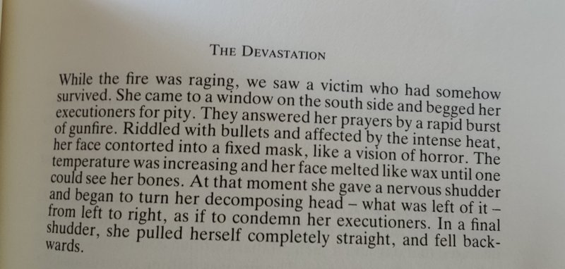 document - The Devastation While the fire was raging, we saw a victim who had somehow survived. She came to a window on the south side and begged her executioners for pity. They answered her prayers by a rapid burst of gunfire. Riddled with bullets and af