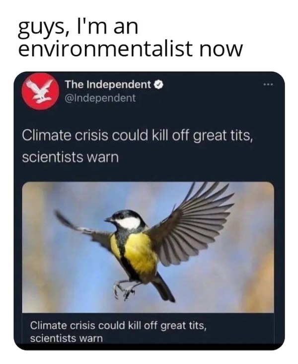 super spicy memes - climate crisis could kill off great tits - guys, I'm an environmentalist now The Independent Climate crisis could kill off great tits, scientists warn Climate crisis could kill off great tits, scientists warn
