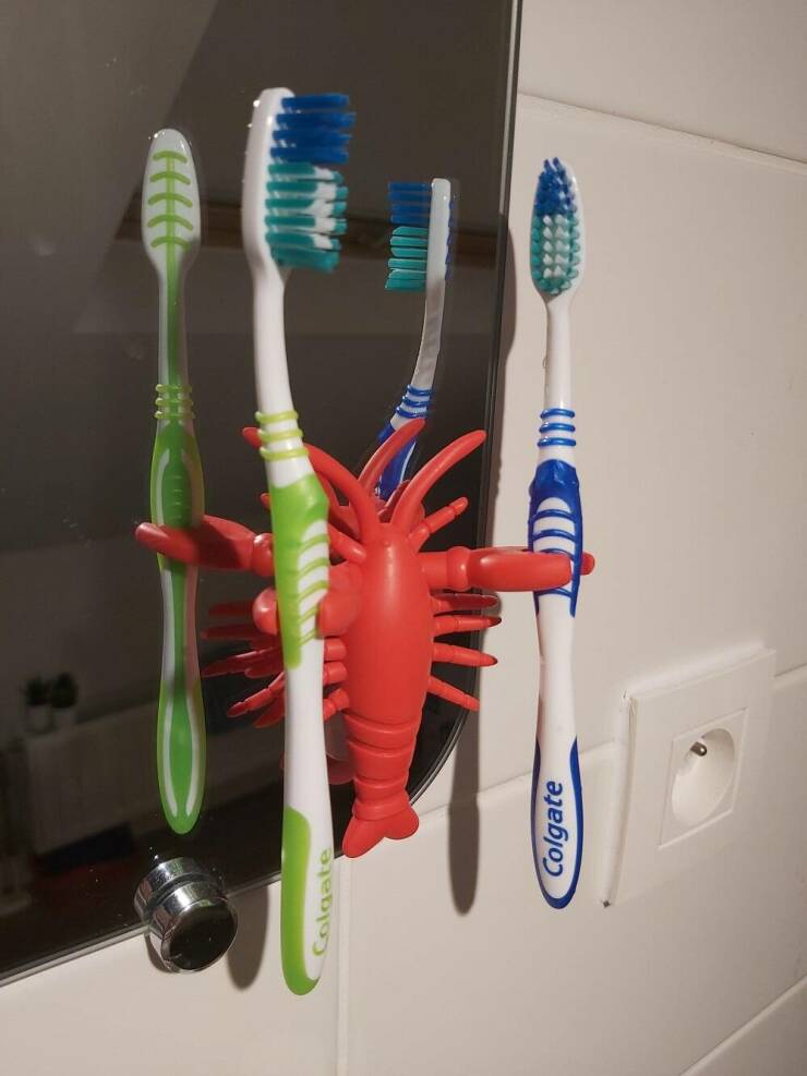 "This cool new toothbrush holder I got, thought it might belonged here!"