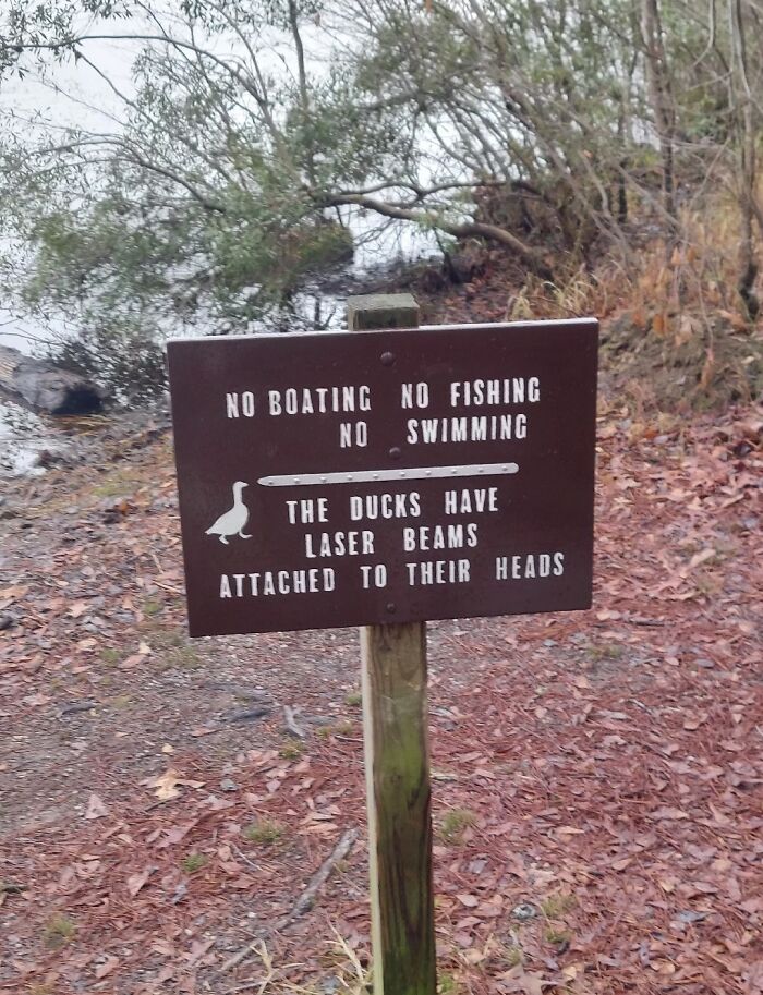 41 Signs That Might Be Absurd.