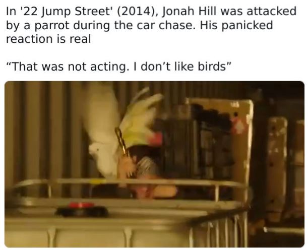 fascinating movie facts - pet - In '22 Jump Street' 2014, Jonah Hill was attacked by a parrot during the car chase. His panicked reaction is real "That was not acting. I don't birds"