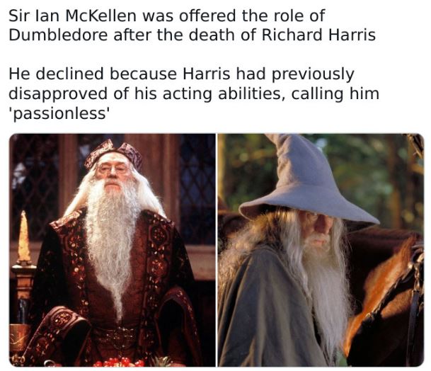fascinating movie facts - Sir lan McKellen was offered the role of Dumbledore after the death of Richard Harris He declined because Harris had previously disapproved of his acting abilities, calling him 'passionless'