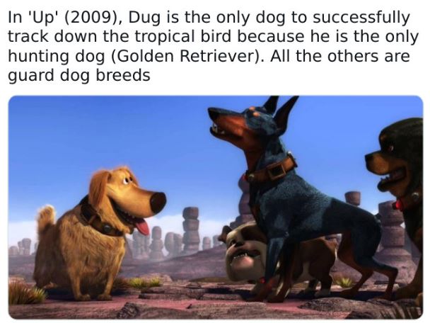 fascinating movie facts - Dug's Special Mission - In 'Up' 2009, Dug is the only dog to successfully track down the tropical bird because he is the only hunting dog Golden Retriever. All the others are guard dog breeds