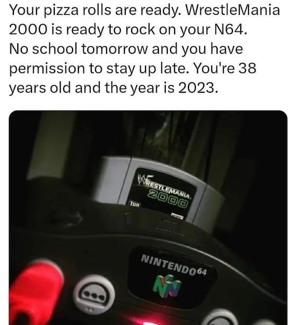 relatable memes - you re 38 years old and the year is 2023 - Your pizza rolls are ready. WrestleMania 2000 is ready to rock on your N64. No school tomorrow and you have permission to stay up late. You're 38 years old and the year is 2023. Wrestlemania 200
