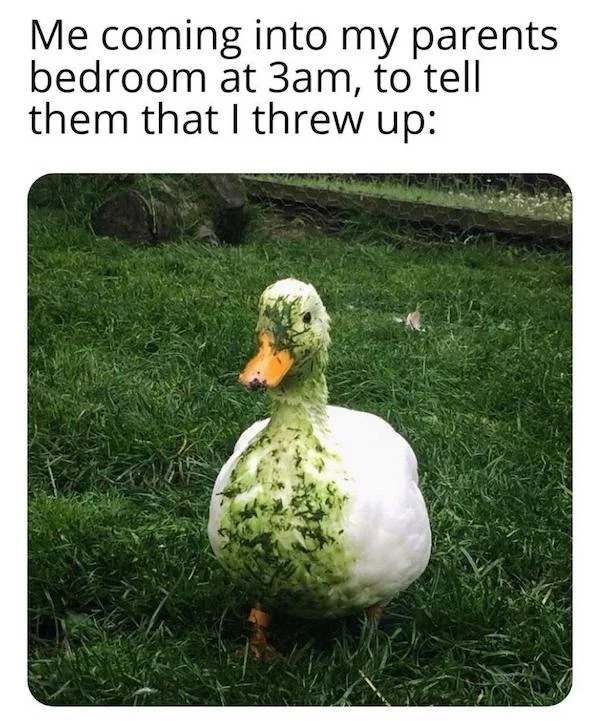 relatable memes - frowed up duck - Me coming into my parents bedroom at 3am, to tell them that I threw up