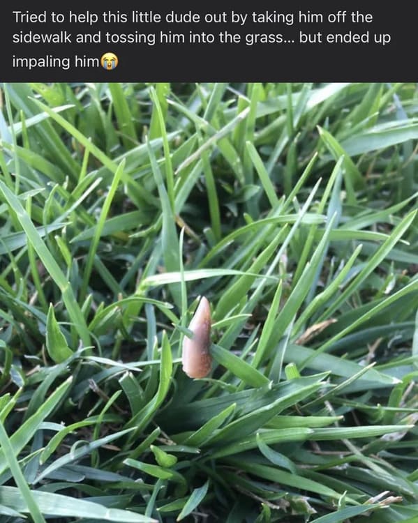 “To save a slug…”
