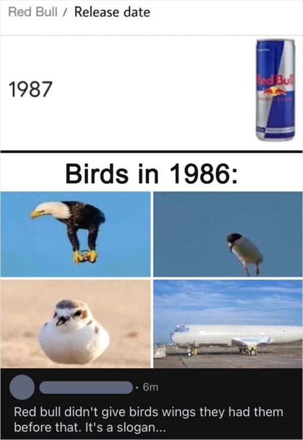 fauna - Red Bull Release date 1987 Birds in 1986 ed Bull 6m Red bull didn't give birds wings they had them before that. It's a slogan...
