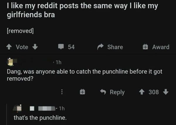 screenshot - I my reddit posts the same way I my girlfriends bra removed Vote 54 1h that's the punchline. 1h Dang, was anyone able to catch the punchline before it got removed? Award 308