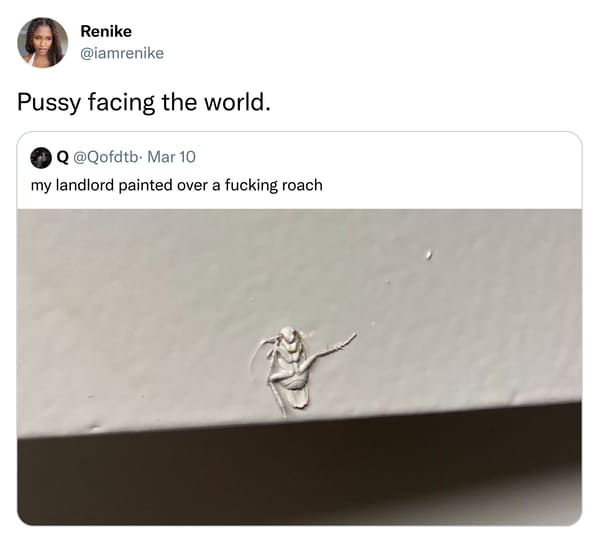 Renike Pussy facing the world. Q. Mar 10 my landlord painted over a fucking roach #