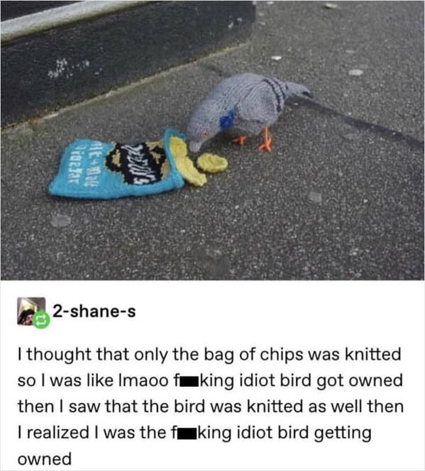 Funny meme - 2shanes I thought that only the bag of chips was knitted so I was Imaoo f king idiot bird got owned then I saw that the bird was knitted as well then I realized I was the f king idiot bird getting owned