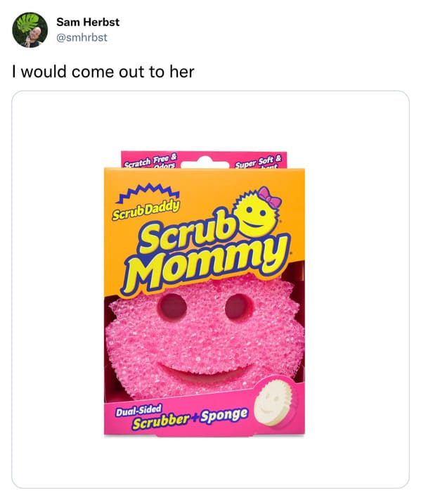 funniest tweets of the week - scrub mommy - Sam Herbst I would come out to her Scratch Free & Super Soft & Scrub Daddy Scrub Mommy DualSided ScrubberSponge