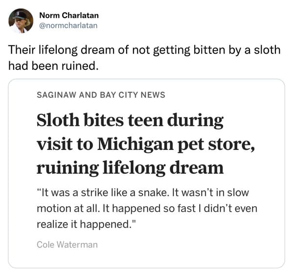 funniest tweets of the week - paper - Norm Charlatan Their lifelong dream of not getting bitten by a sloth had been ruined. Saginaw And Bay City News Sloth bites teen during visit to Michigan pet store, ruining lifelong dream