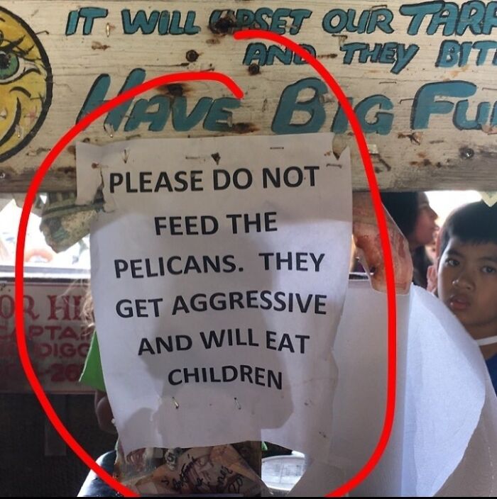 Highlighted Jokes - banner - It Will Upset Our Tarf And They Bit Have Big Fu Please Do Not Feed The Pelicans. They Or Hi Ge