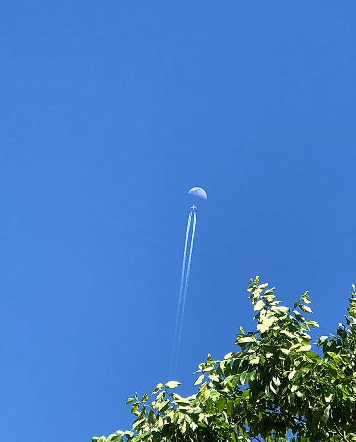 Looks Like They’re Flying To The Moon