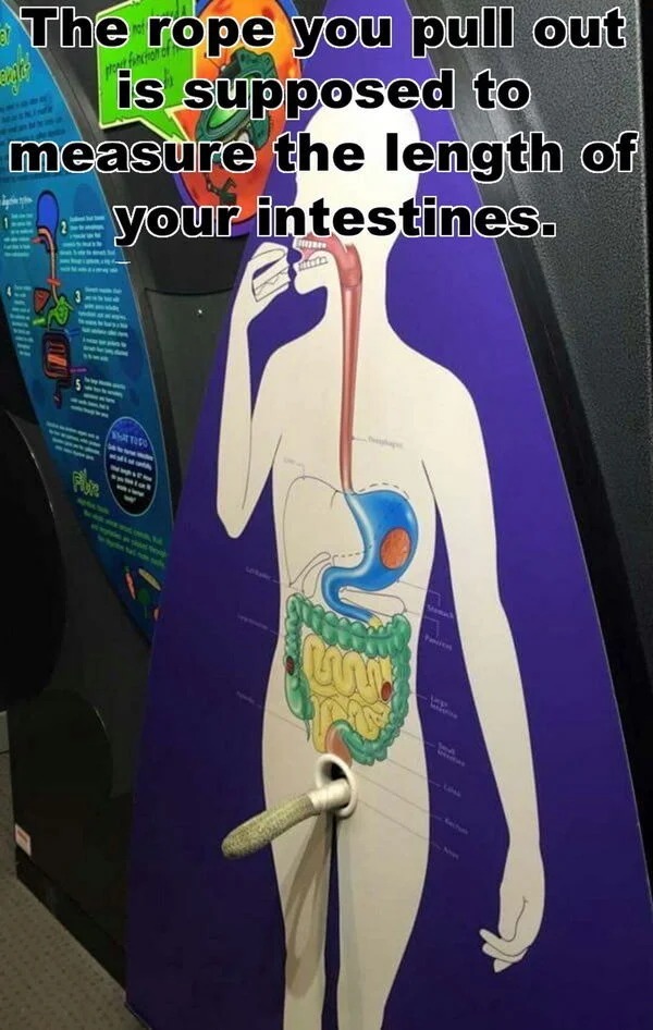 spicy sex memes - poster - prot function of The rope you pull out is supposed to measure the length of your intestines. What Tido Littera Rix Mana