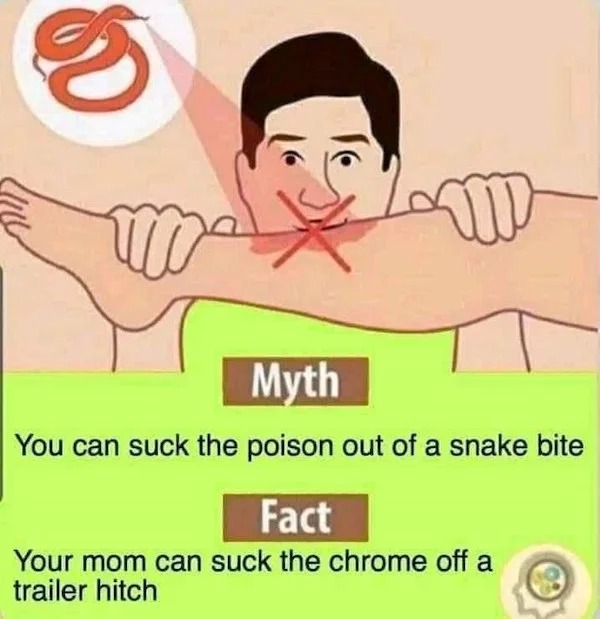spicy sex memes - Snakebite - 3 Maxm Myth You can suck the poison out of a snake bite Fact Your mom can suck the chrome off a trailer hitch