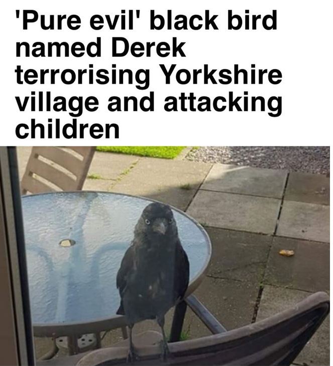 30 Funny News Headlines Ever Spotted.