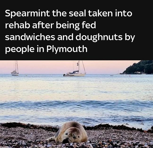 30 Funny News Headlines Ever Spotted.