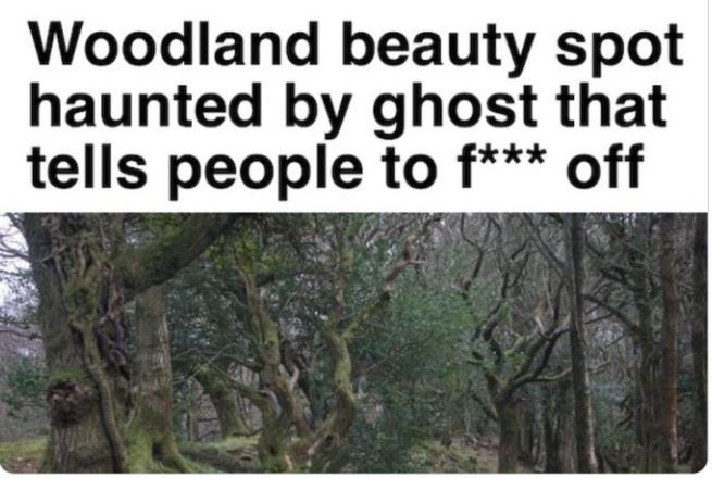 30 Funny News Headlines Ever Spotted.