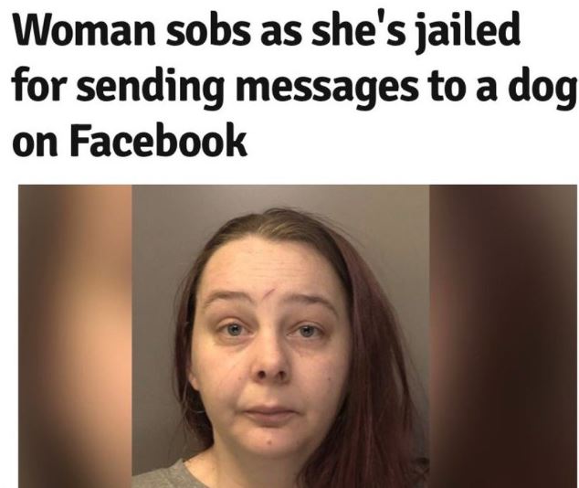 30 Funny News Headlines Ever Spotted.