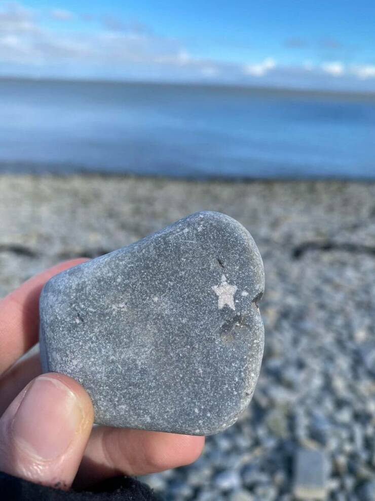 “This rock with an almost perfect star-shaped crystal in it.”