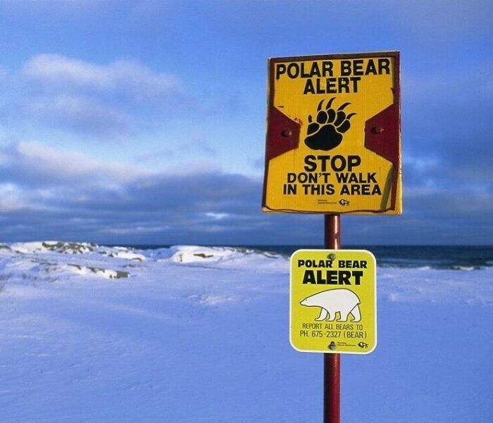 47 Signs That Are Really Creepy.