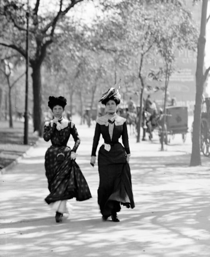 fascinating historical photos - new york in 1891
