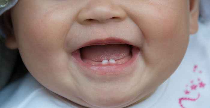 A toddler's adult teeth are right below their eyes.