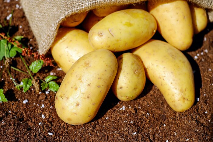 Potatoes. They release toxic chemicals when they go bad. People have died from this.