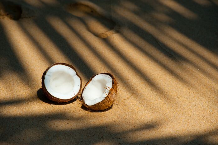 Coconuts, [end] around 150 people every year from them falling onto people's heads!
