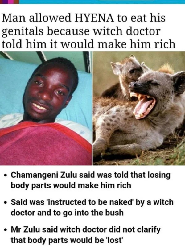 funny pics and memes - photo caption - Man allowed Hyena to eat his genitals because witch doctor told him it would make him rich Chamangeni Zulu said was told that losing body parts would make him rich Said was 'instructed to be naked' by a witch doctor 